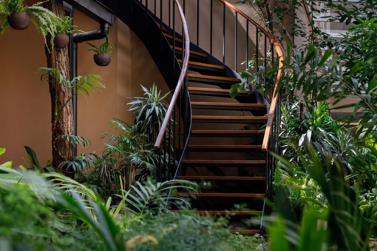 Hotel Thrive, A Tropical Courtyard Katmandu Eksteriør billede